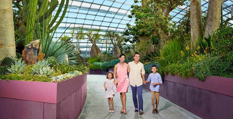 Cumpărați Go City Pass Singapore