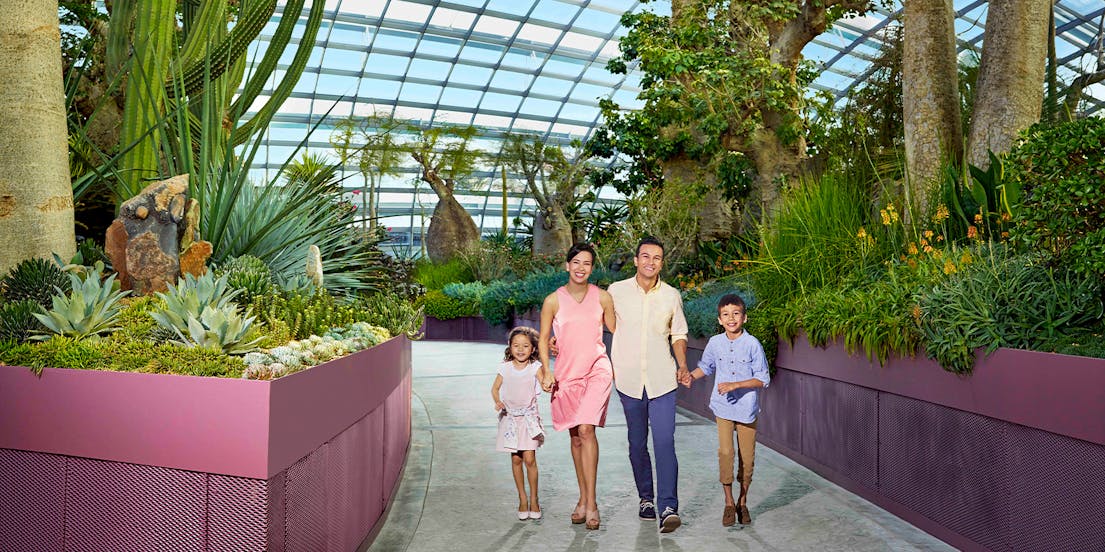 Achetez des Go City Pass de Singapour