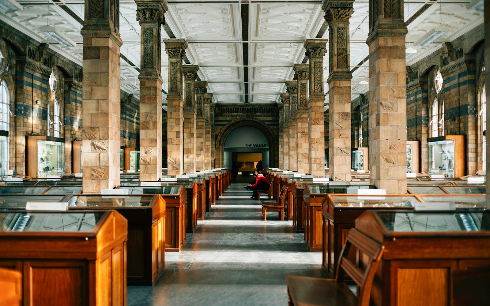 Natural History Museum dinosaur skeleton exhibit in London.