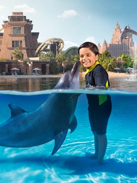 Child interacting with dolphin at Dolphin Bay, Aquaventure, Dubai.
