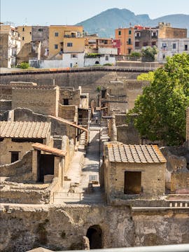 Herculaneum Ruins Tickets & Tours