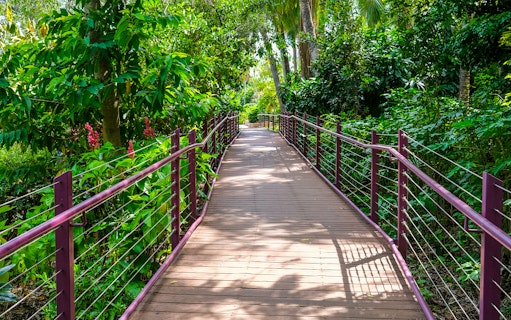 Wooden walkway through lush greenery at Crocosaurus Cove, Darwin.