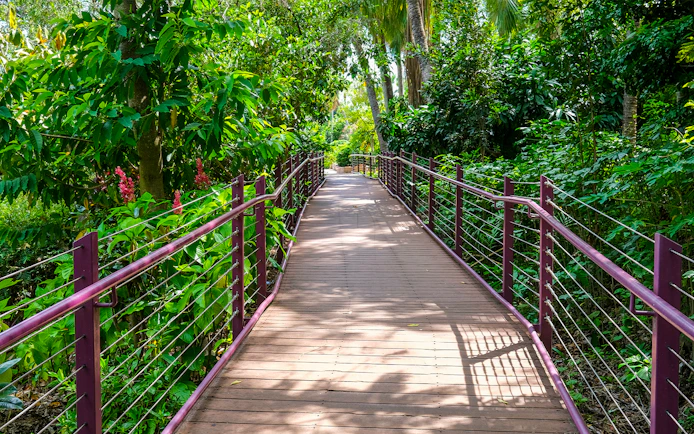 Wooden walkway through lush greenery at Crocosaurus Cove, Darwin.