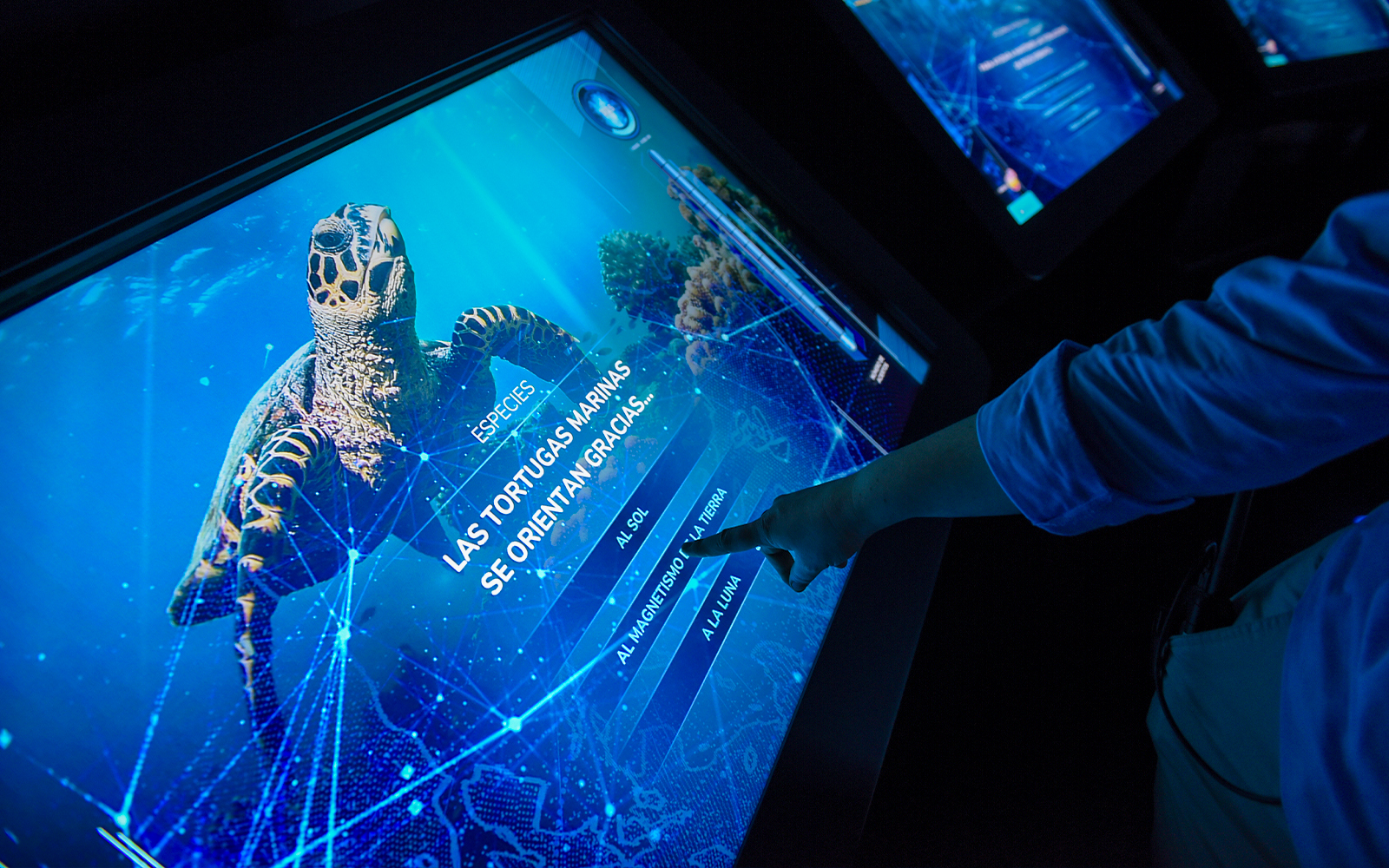 Visitors interacting with an information screen at Atlantis Aquarium.