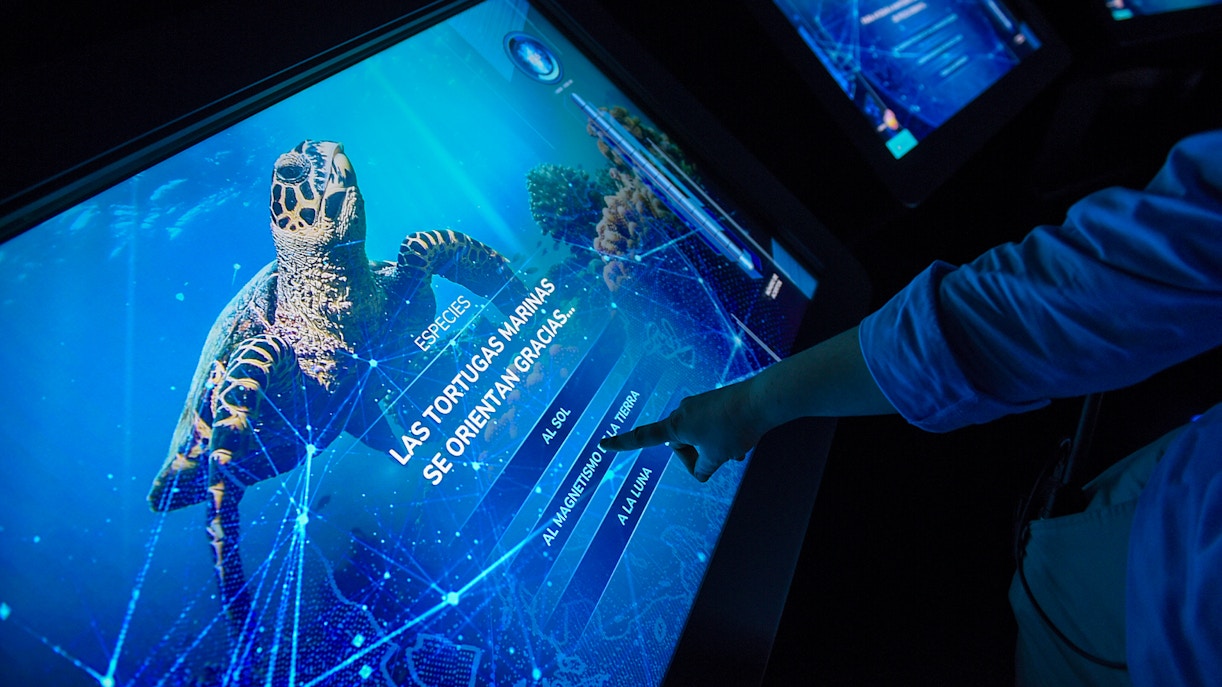 Visitors at Atlantis Aquarium using interactive screen for information in Madrid.