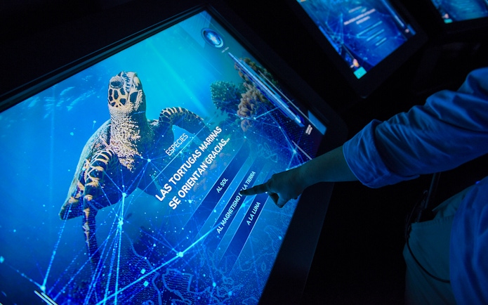 Visitors interacting with an information screen at Atlantis Aquarium.