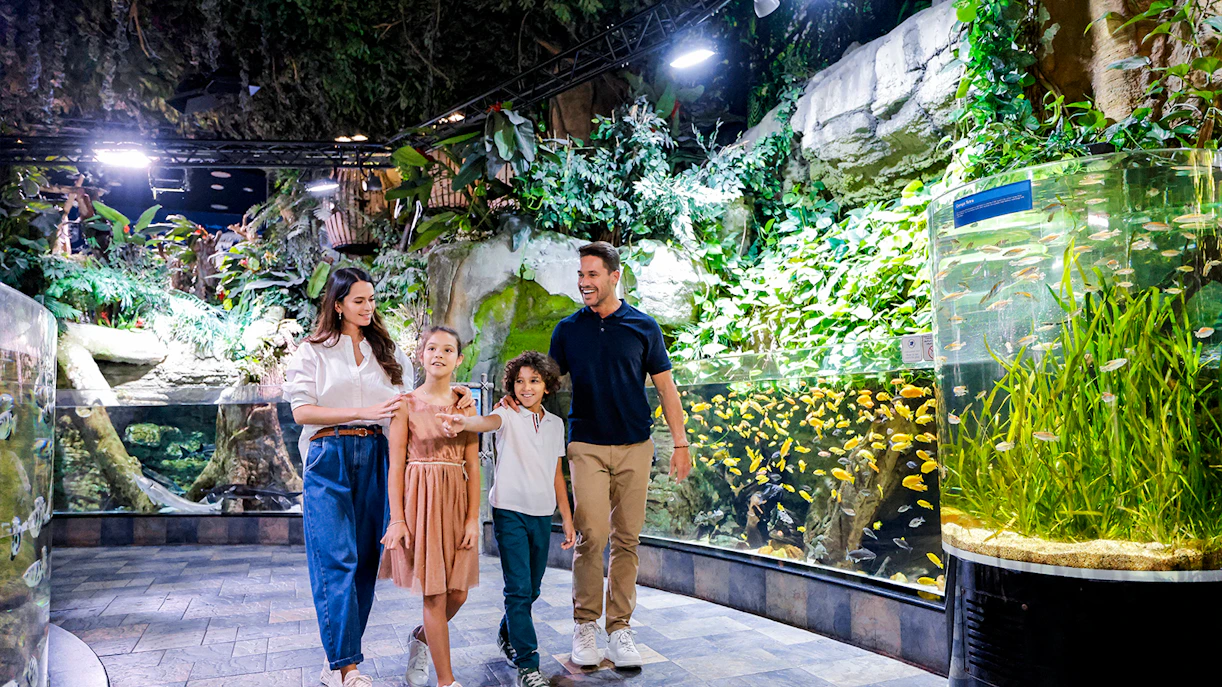 Family exploring vibrant fish tanks at Dubai Aquarium.