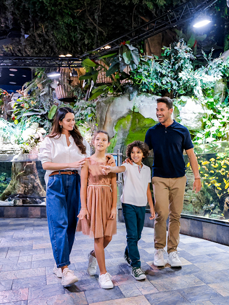 Family exploring vibrant fish tanks at Dubai Aquarium.