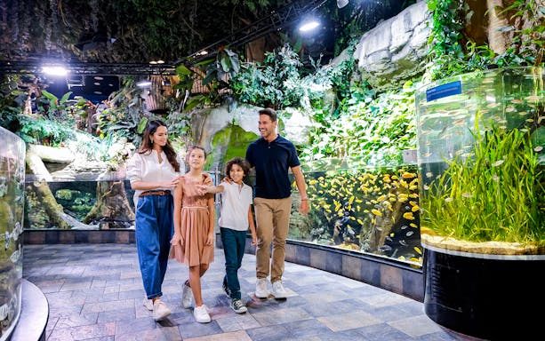 Family exploring vibrant fish tanks at Dubai Aquarium.