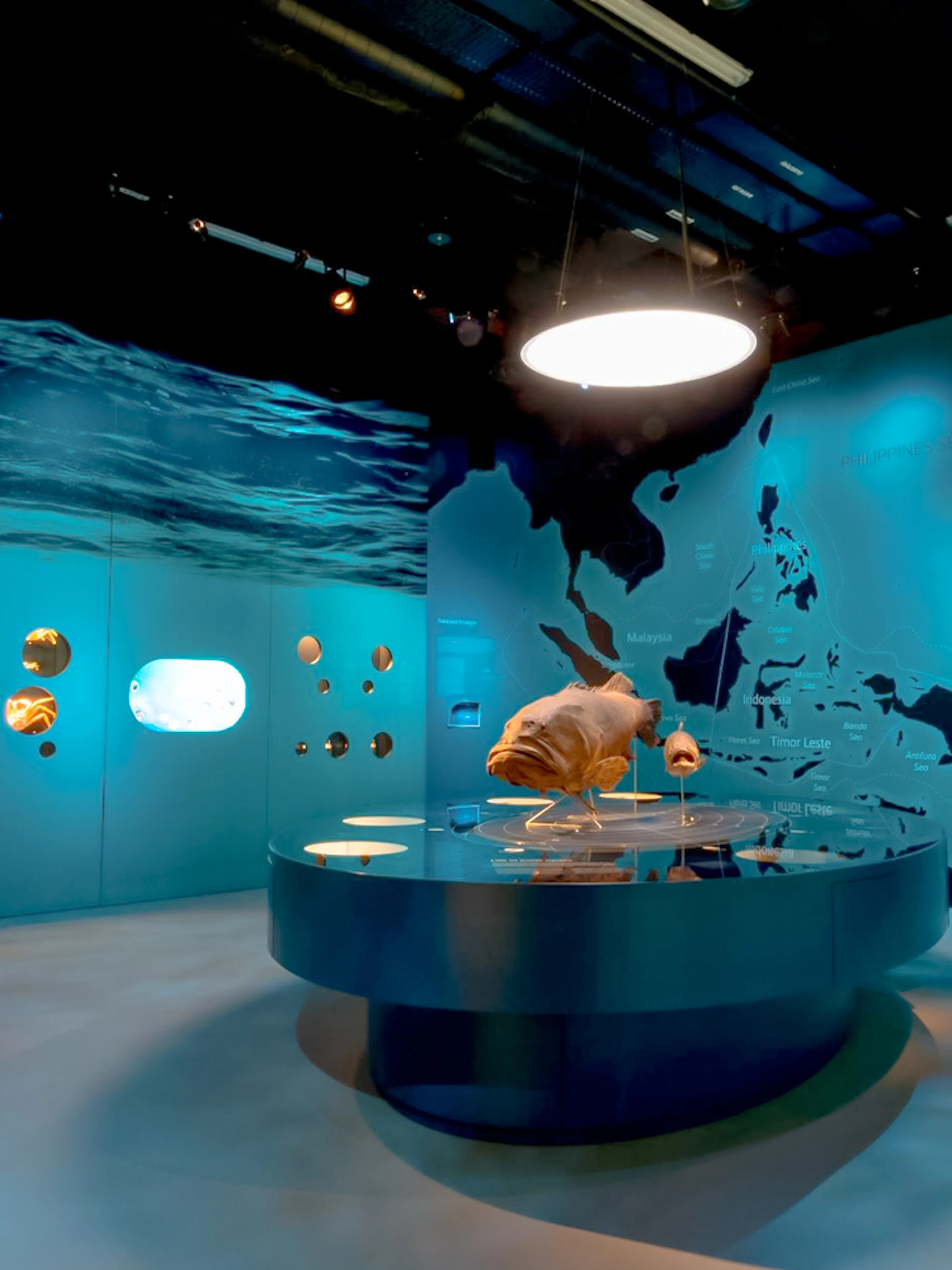 Large fish model and ocean map at marine biology exhibit in Singapore museum.