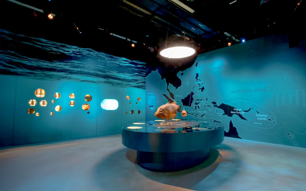 Large fish model and ocean map at marine biology exhibit in Singapore museum.