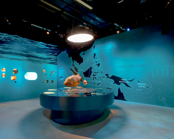 Lee Kong Chian Natural History Museum Tickets