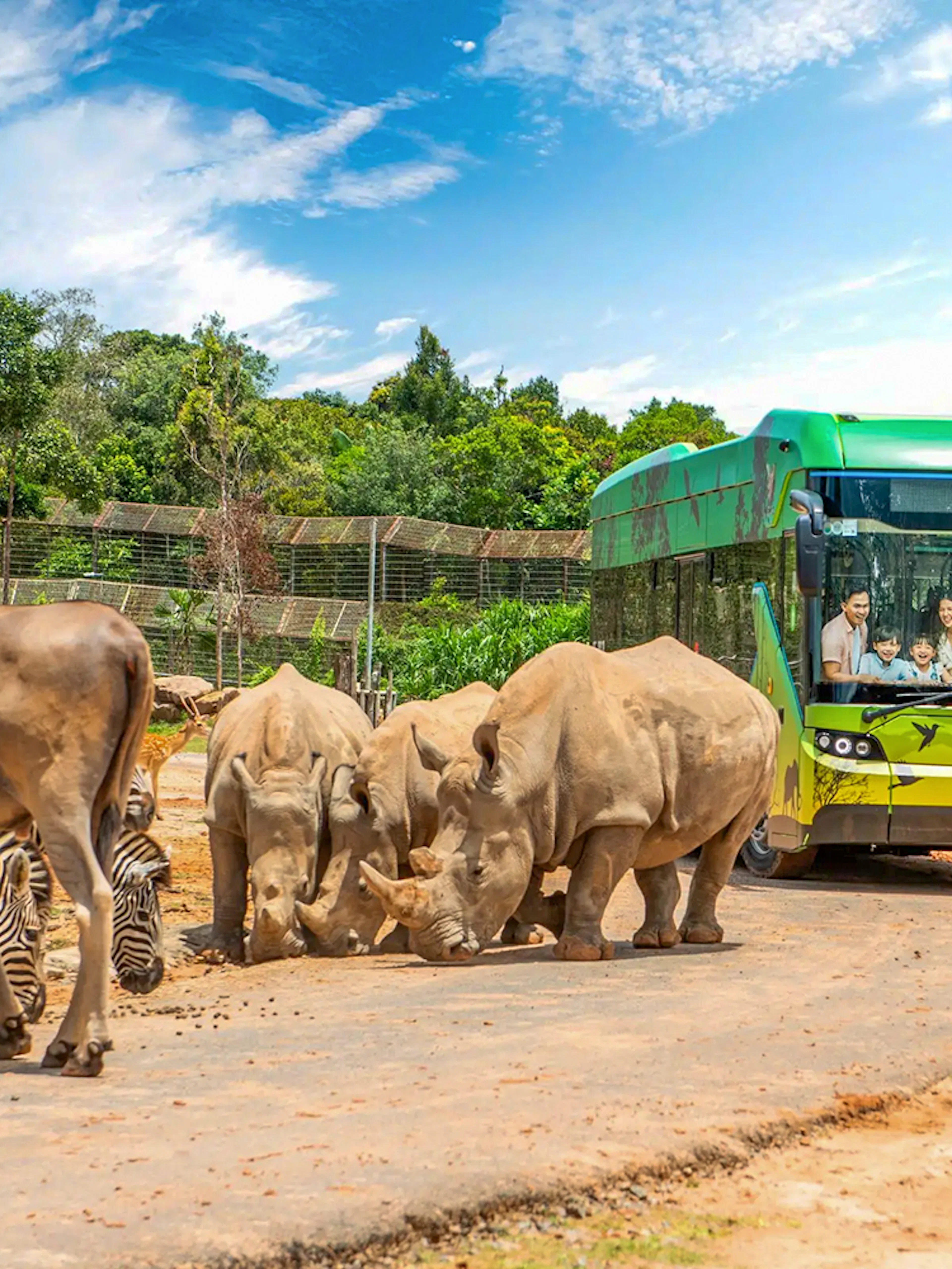 Bus tour guests observing rhinos and zebras in African wildlife setting.