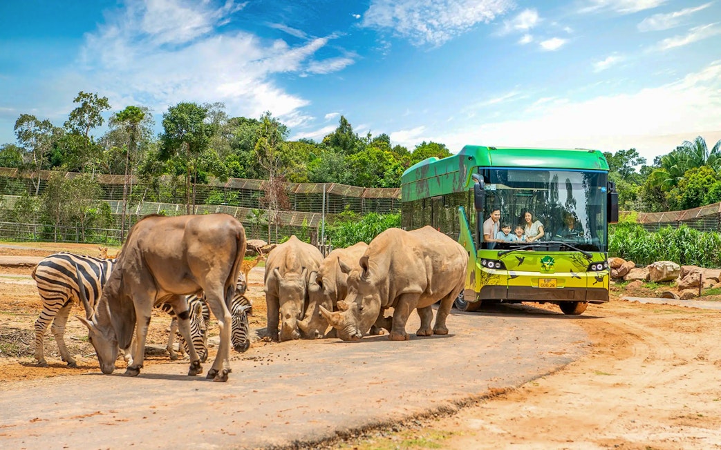 Bus tour guests observing rhinos and zebras in African wildlife setting.