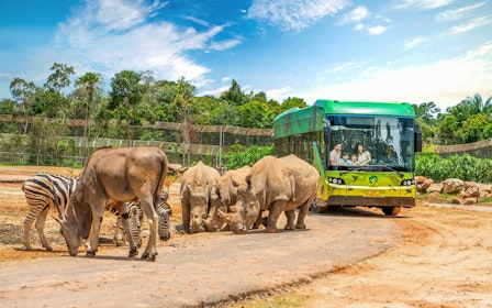 [Single Day Combo] Vinpearl Safari & VinWonders Tickets