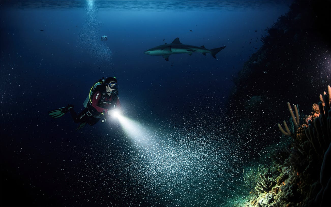 Diver with flashlight observing shark underwater at night in Maui.