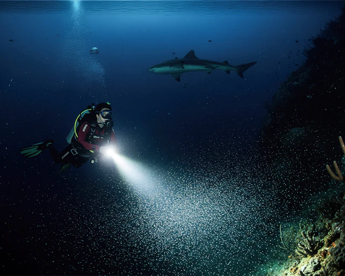 Maui Night Dive Tours