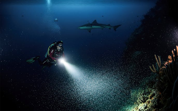 Diver with flashlight observing shark underwater at night in Maui.