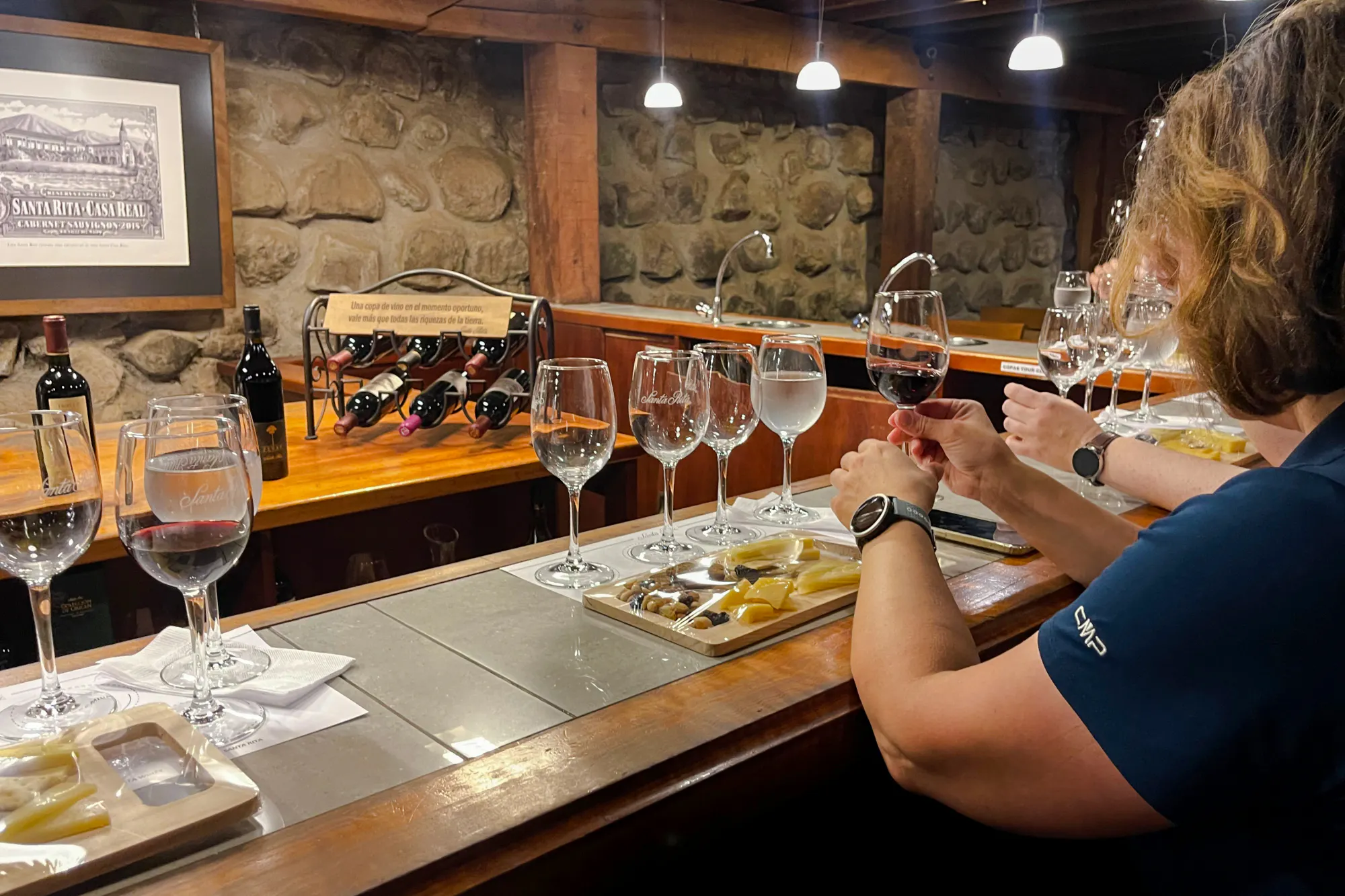 Wine tasting at Santa Rita Vineyard with cheese pairing, Santiago.
