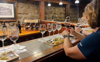 Wine tasting at Santa Rita Vineyard with cheese pairing, Santiago.