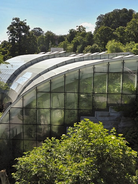 Rainforest Habitat glass structure surrounded by trees at Schönbrunn Zoo.