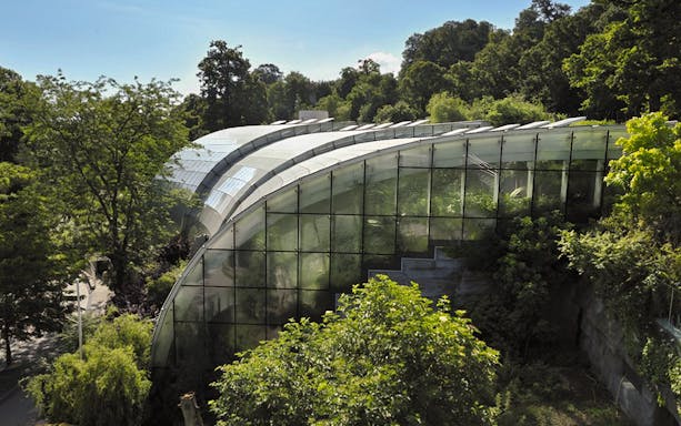 Rainforest Habitat glass structure surrounded by trees at Schönbrunn Zoo.