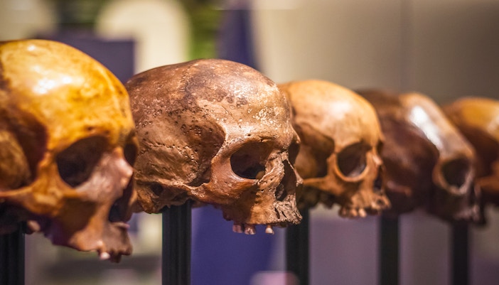 Prague National Museum - Anthropology Exhibitions