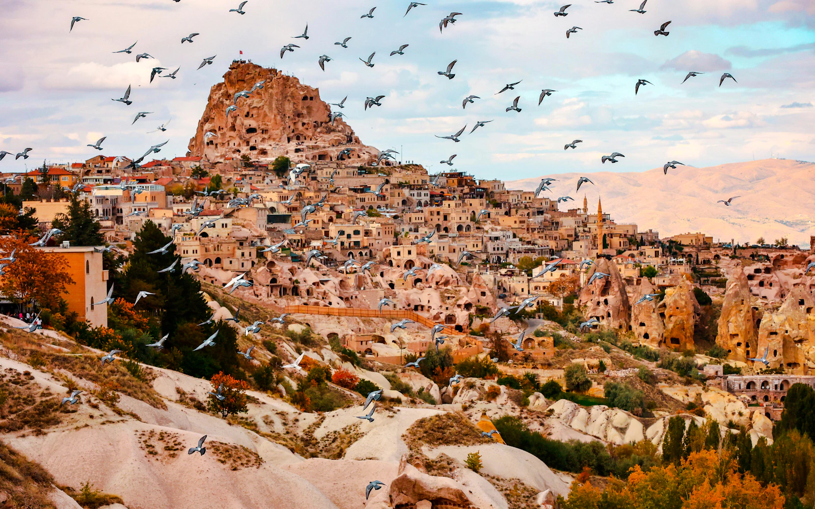 Cappadocia Wine Tasting with Local Cheeses Image 5