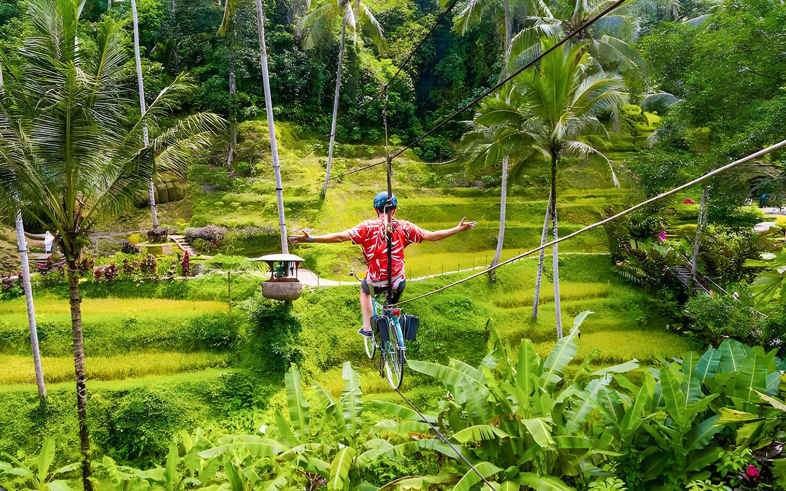 Man riding a sky bike over lush green rice terraces at Alas Harum, Bali.