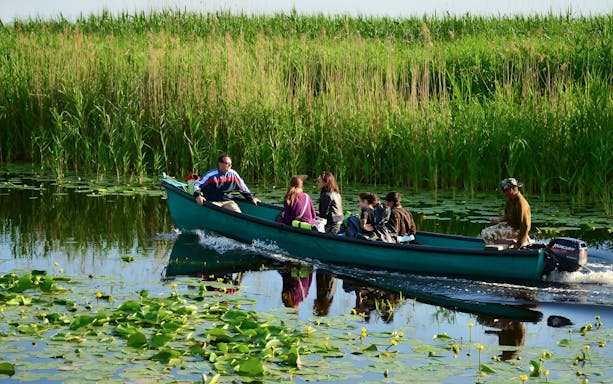 Boat tour with tourists exploring the Danube Delta's lush wetlands.