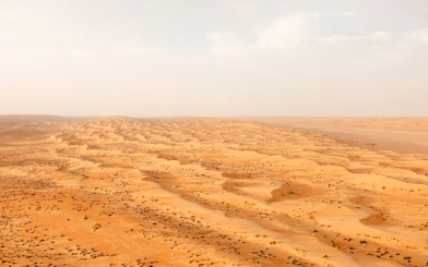 Wahiba Desert sand dunes under a clear sky, part of Muscat's guided group tour.