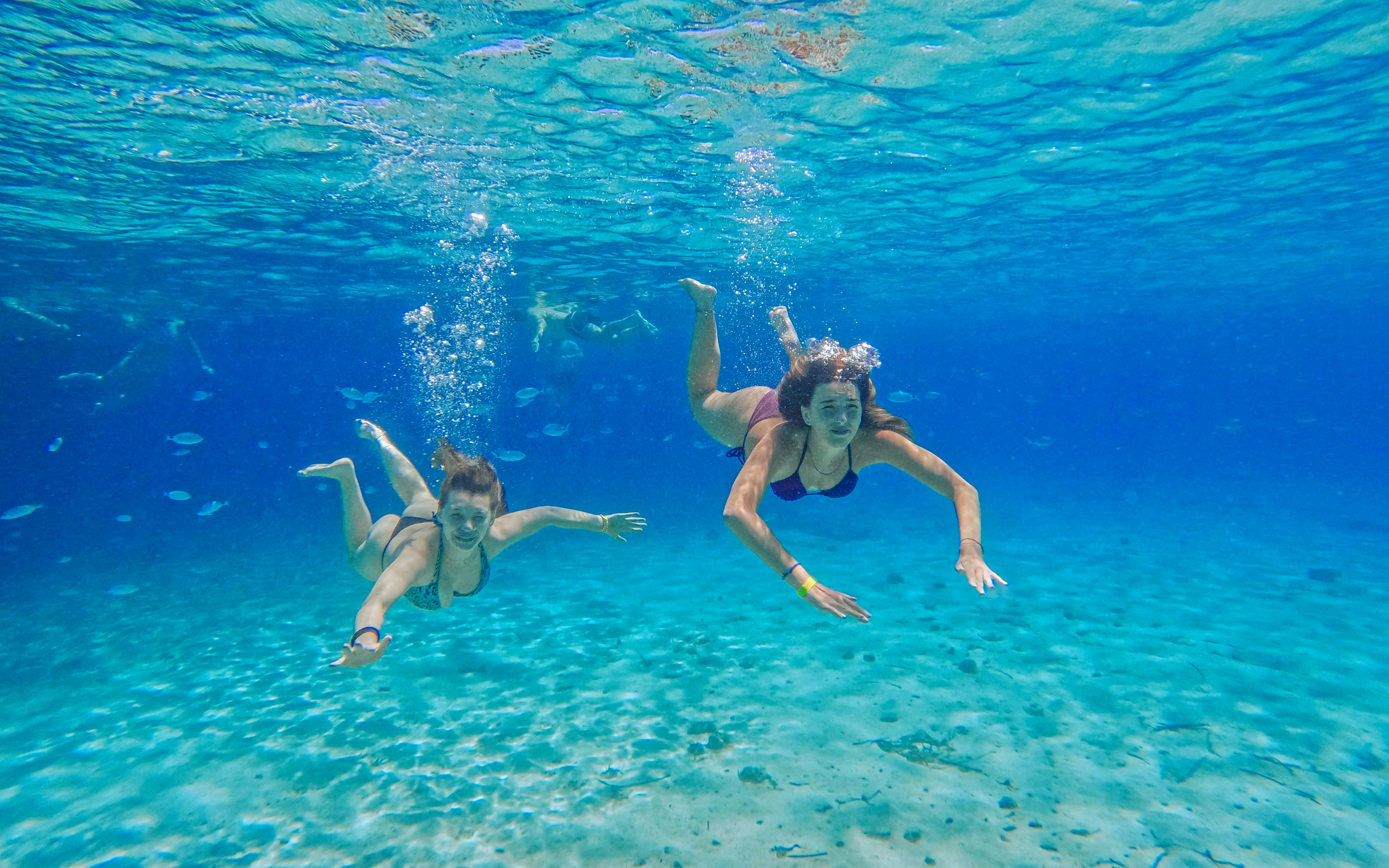 tourists snorkeling in clear water