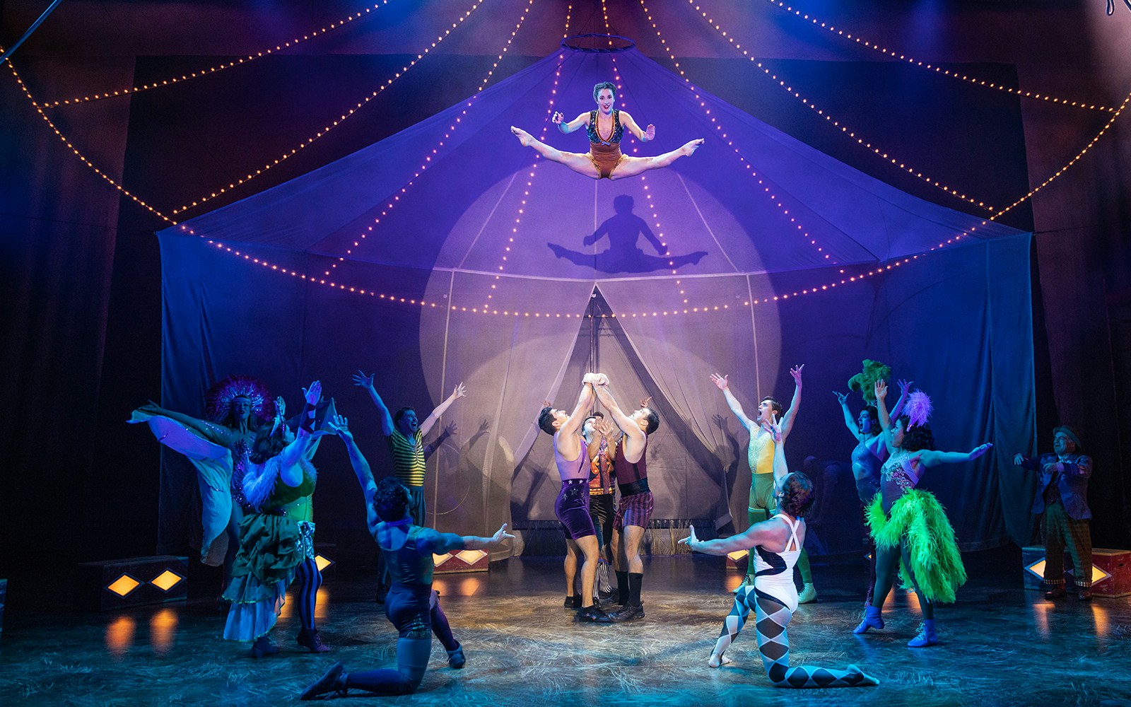 Circus performers in a tent with acrobat mid-air, part of Water for Elephants show.