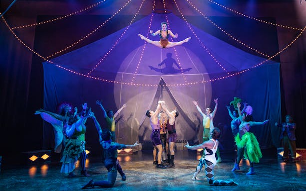 Circus performers in a tent with acrobat mid-air, part of Water for Elephants show.