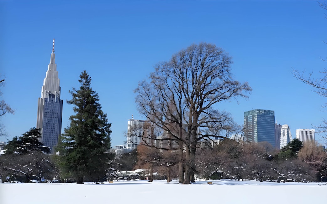 Shinjuku Gyoen with snow-covered grounds and city skyline in Tokyo.
