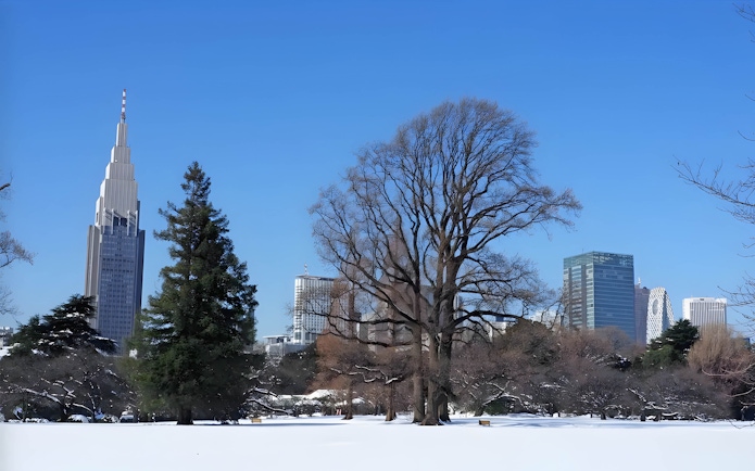 Shinjuku Gyoen with snow-covered grounds and city skyline in Tokyo.