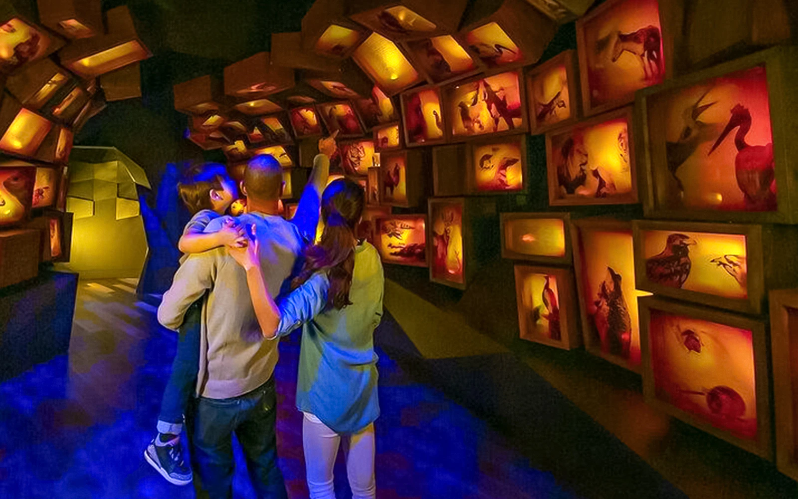 Family exploring illuminated animal displays at Museum of the Bible.