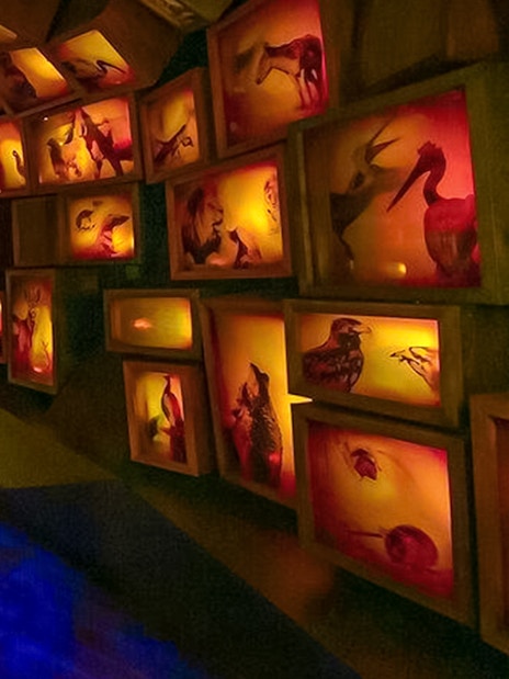 Family exploring illuminated animal displays at Museum of the Bible.