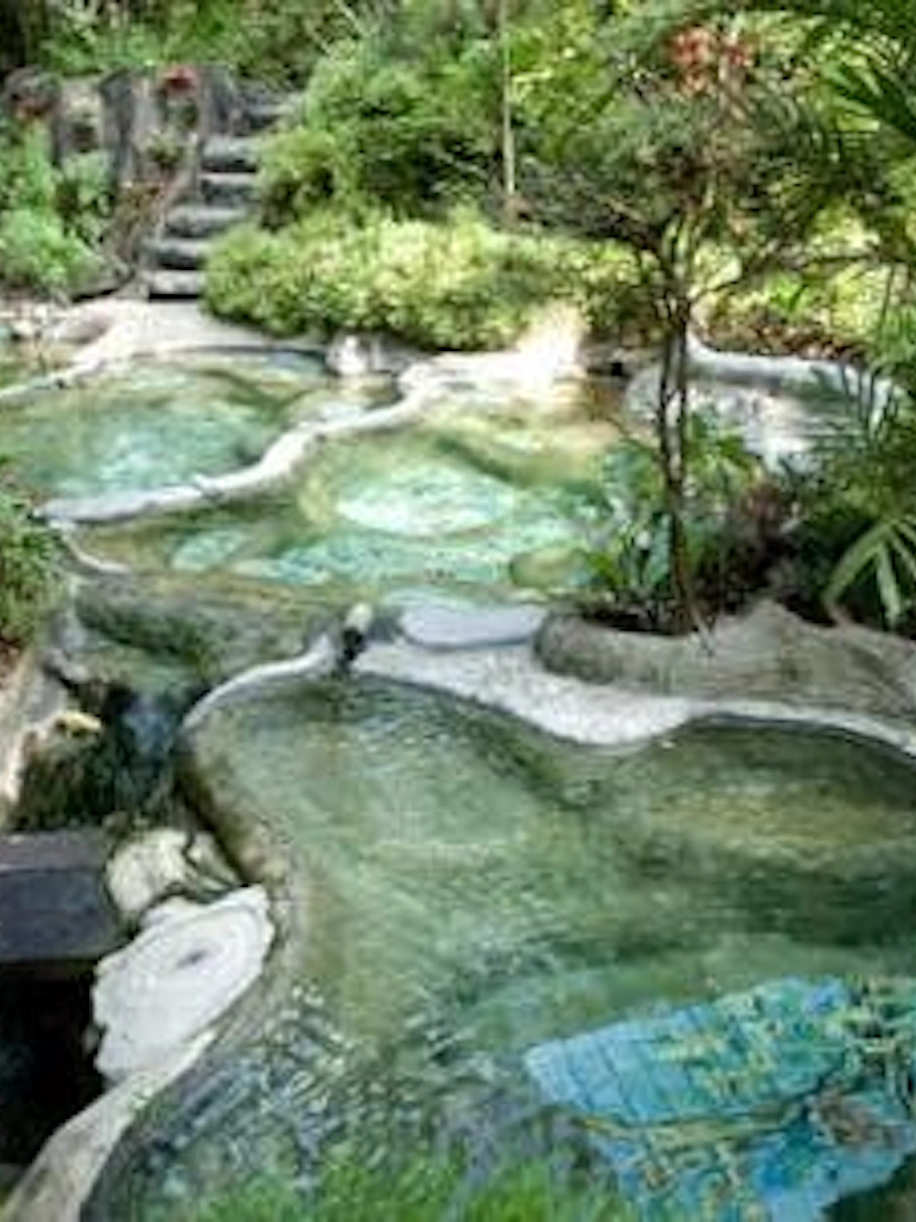 Krabi hot spring spa with natural rock pools surrounded by lush greenery.