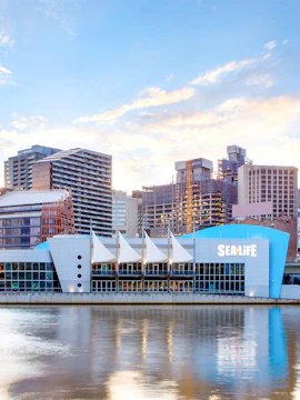 SEA LIFE Melbourne Aquarium exterior by the river, Melbourne skyline in background.