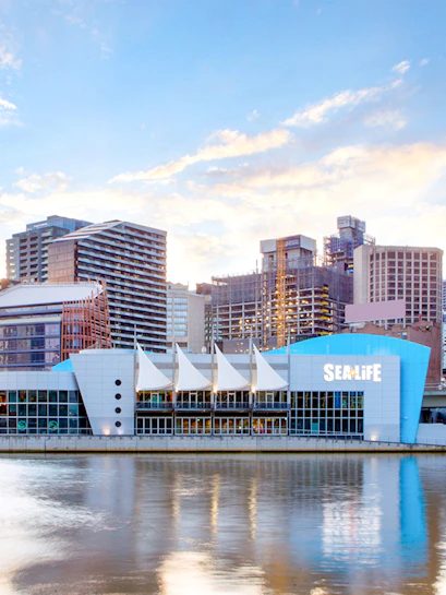 SEA LIFE Melbourne Aquarium exterior by the river, Melbourne skyline in background.
