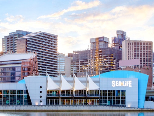 SEA LIFE Melbourne Aquarium exterior by the river, Melbourne skyline in background.