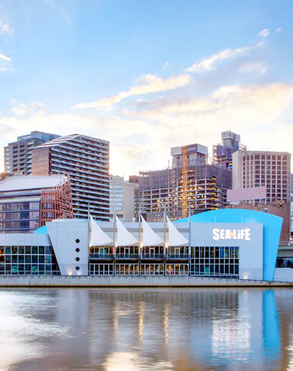 SEA LIFE Melbourne Aquarium exterior by the river, Melbourne skyline in background.