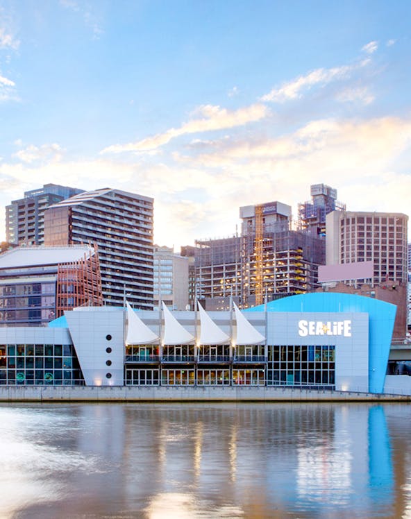 SEA LIFE Melbourne Aquarium exterior by the river, Melbourne skyline in background.