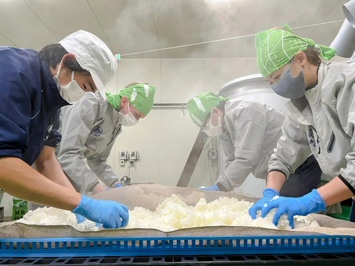 sado adası obata sake fabrikası rehberli turu ve tadım etkinliği-1