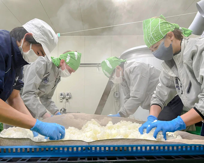 Sado Island Obata Sake Brewery Guided Tour and Tasting