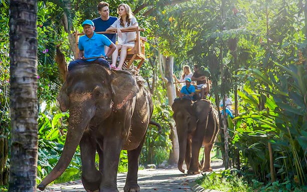 Tourists on an elephant ride through lush greenery at Bali Zoo, Indonesia.