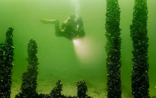 комбо: билеты на вход в музей «васа» и музей затонувших кораблей-5