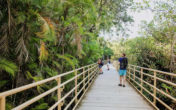 Visitors walking on a boardwalk through lush greenery in Manuel Antonio National Park, Costa Rica.