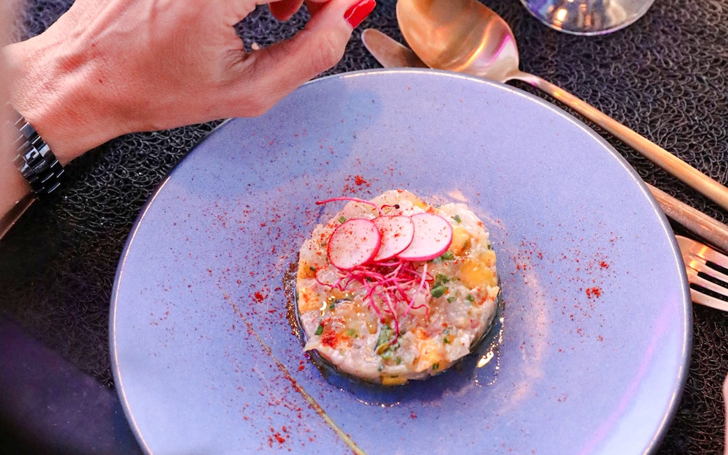 Tartare dish garnished with radish slices on a Paris bus tour.